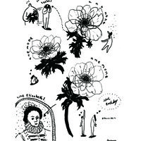07_anemone_アートボード 1.jpg