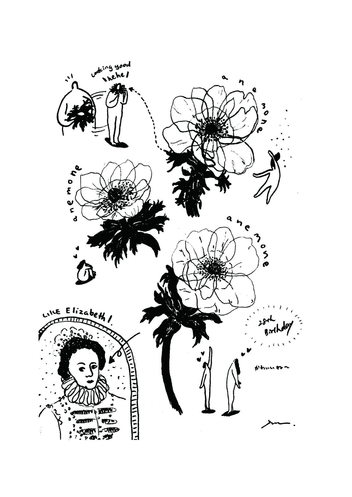07_anemone_アートボード 1.jpg