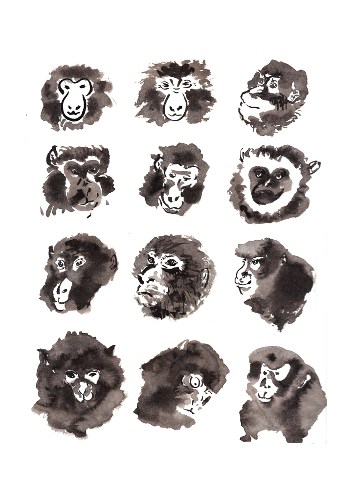 Monkey faces