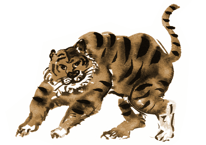 A tiger