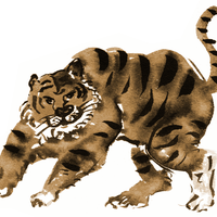 tigercolour.png