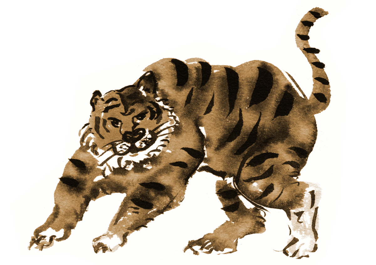 tigercolour.png